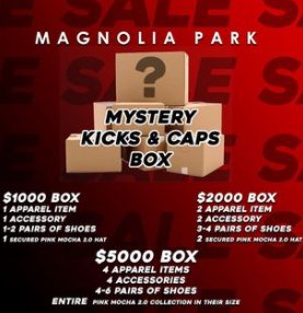 MYSTERY BOXES - The Magnolia Park