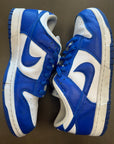 Nike Dunk Low SP Kentucky (Pre-Owned)