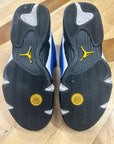 Jordan 14 Retro Laney (2023) (Pre-Owned)