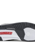 Jordan 3 Retro Cool Grey (2021)