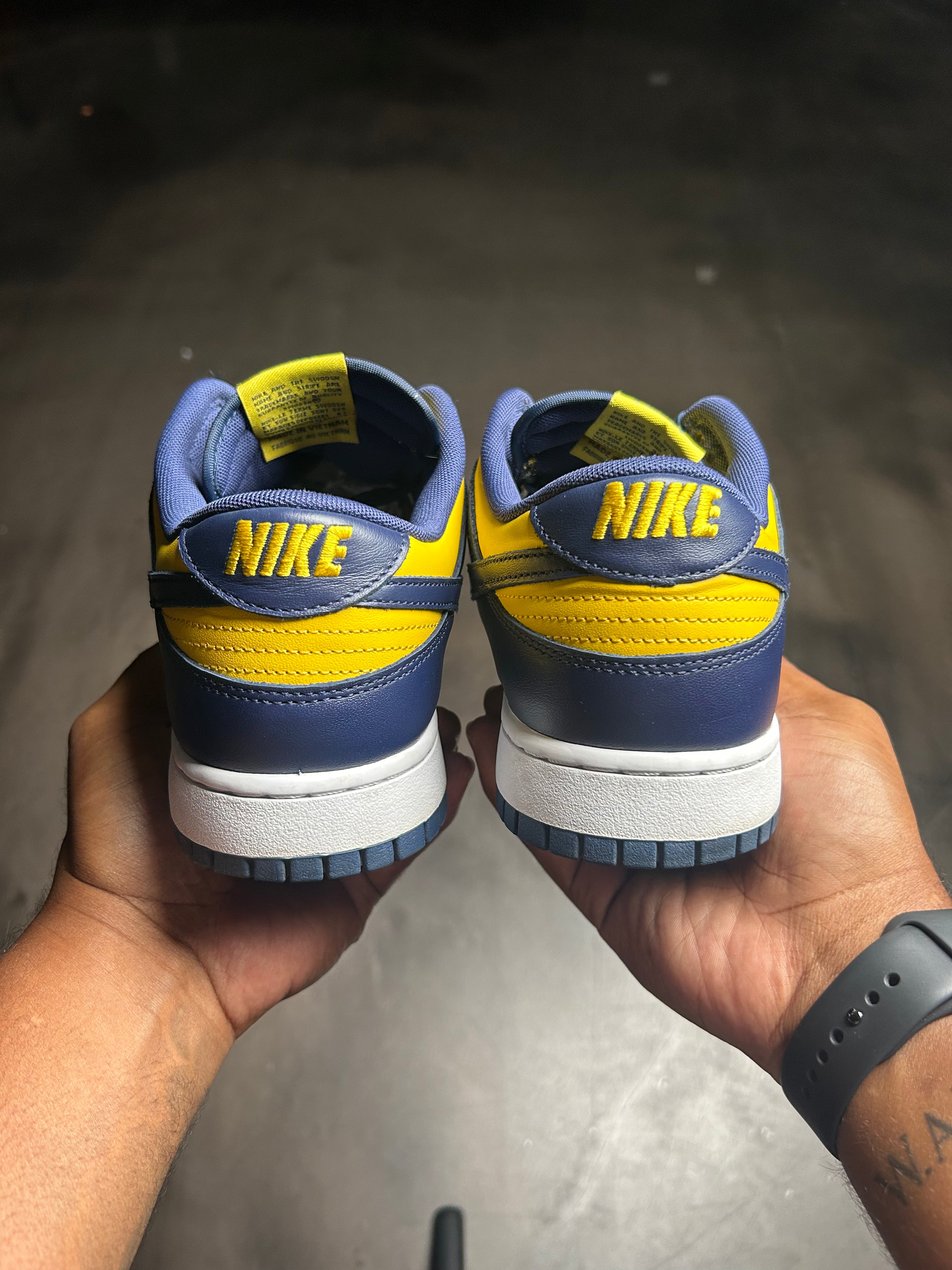 Nike Dunk Low Michigan (2021) (Pre-owned)